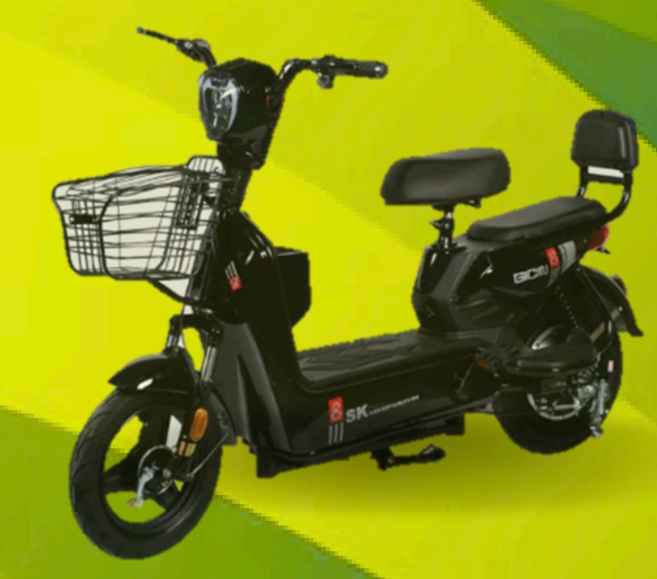 Moto eléctrica