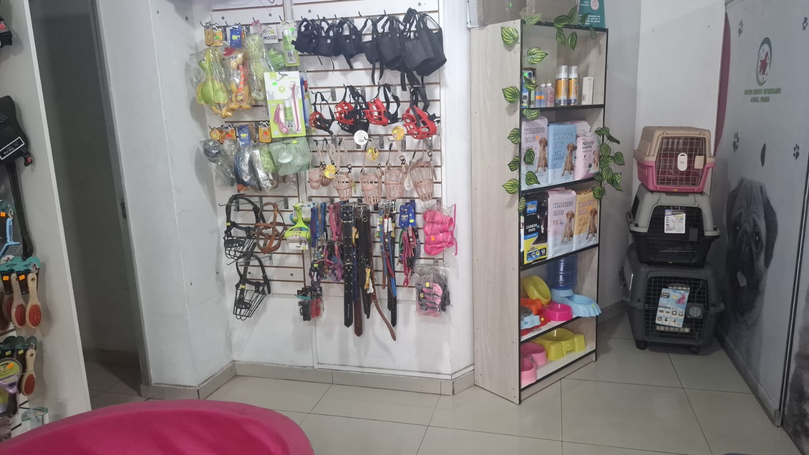 Equipamiento